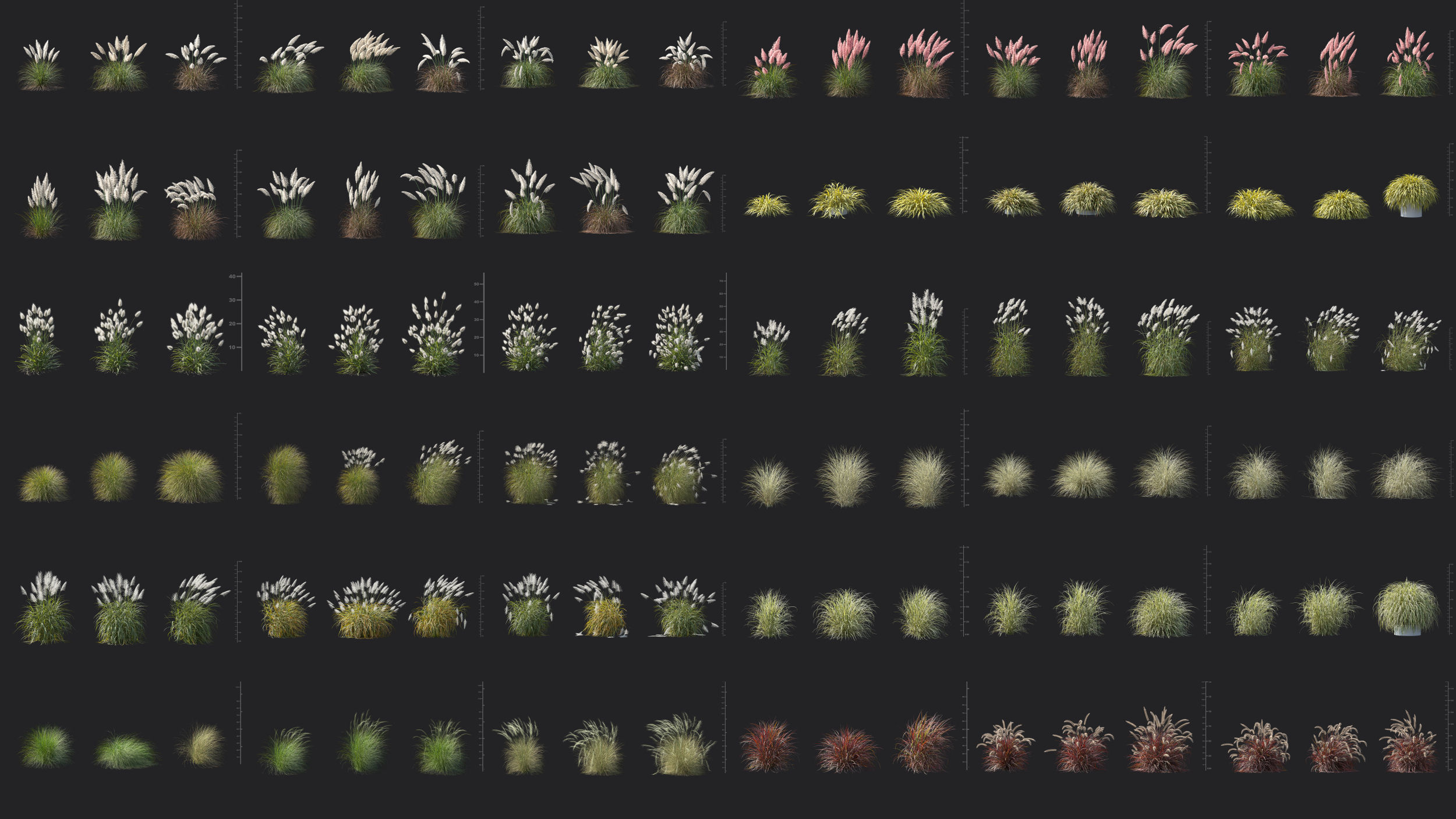 Maxtree Plant Models Vol 139 - Mesh 3D model_4