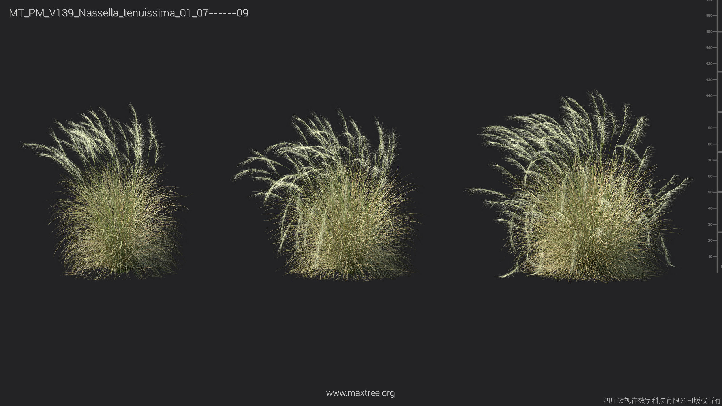 Maxtree Plant Models Vol 139 - Mesh 3D model_47