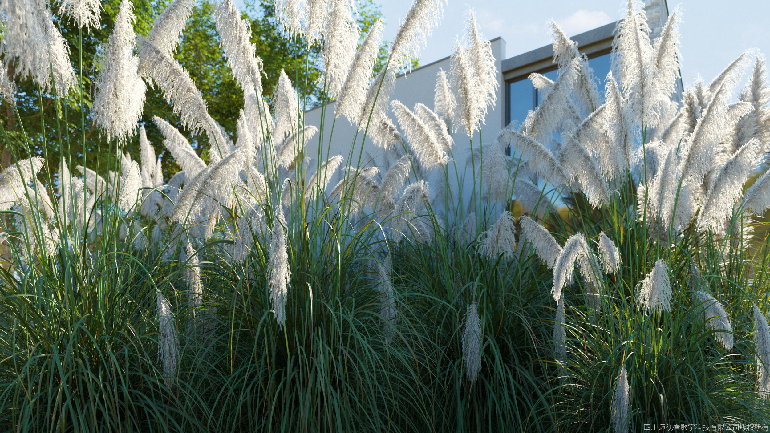 Maxtree Plant Models Vol 139 - Mesh 3D model_3