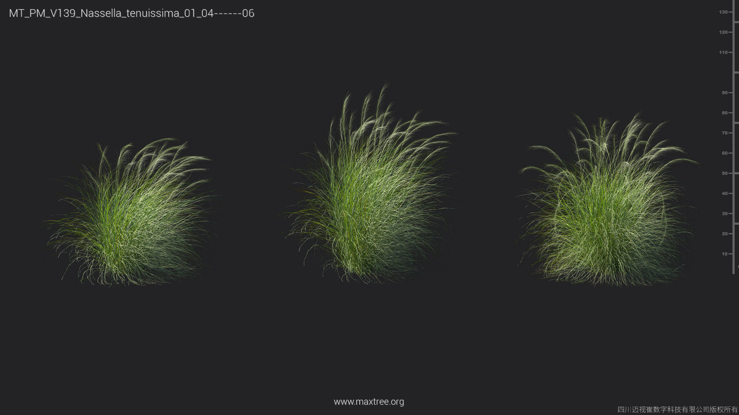 Maxtree Plant Models Vol 139 - Mesh 3D model_46