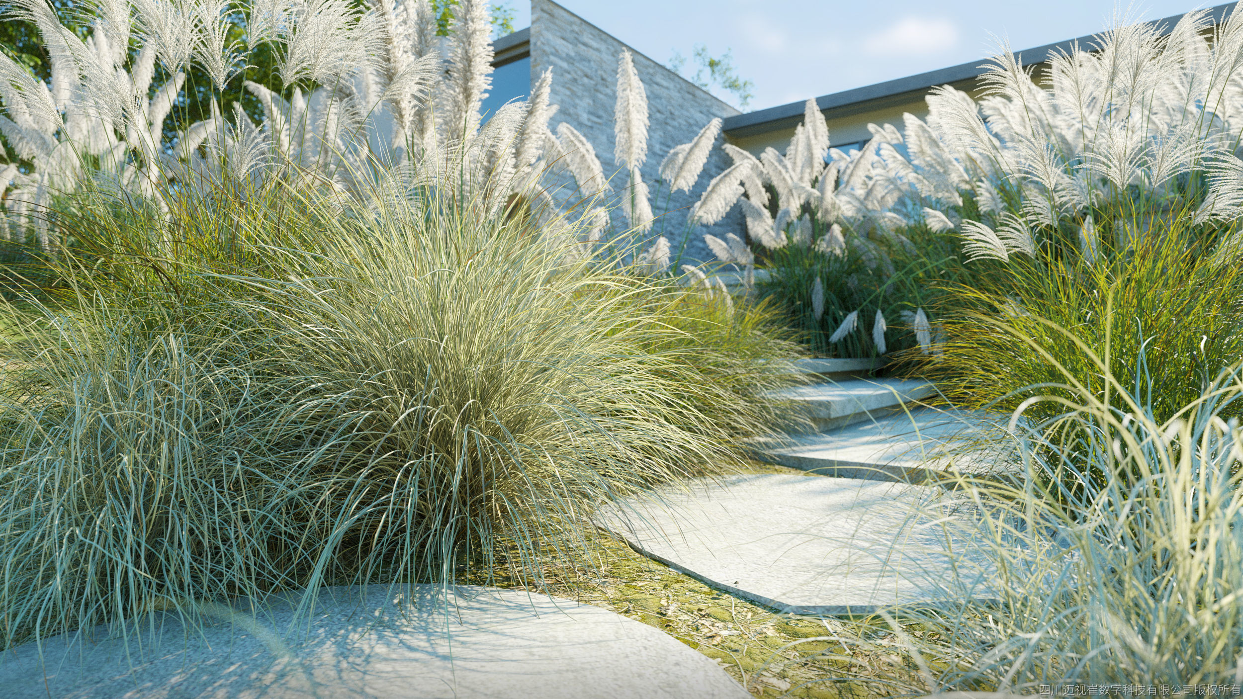 Maxtree Plant Models Vol 139 - Mesh 3D model_2