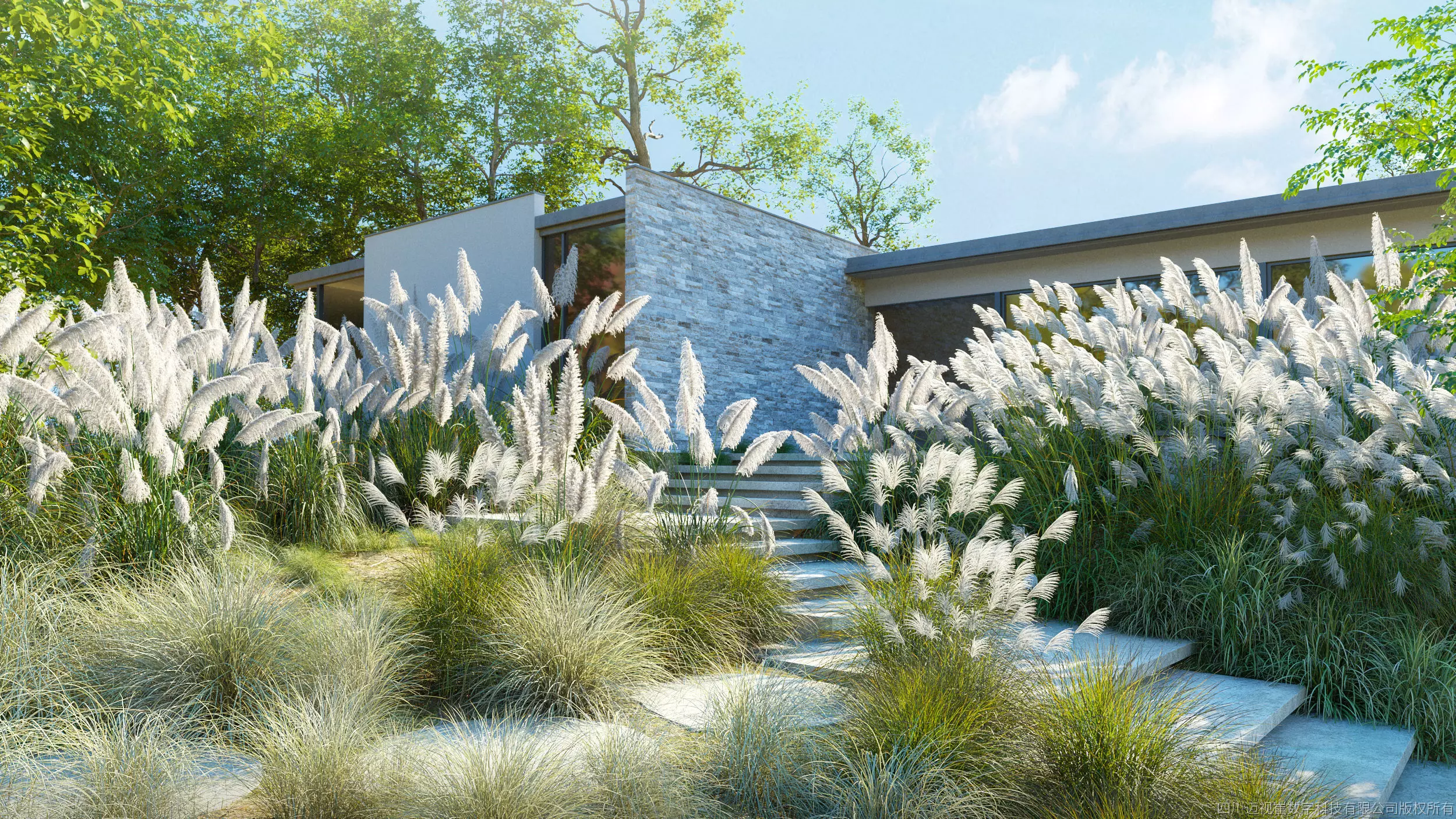 Maxtree Plant Models Vol 139 - Mesh 3D model_0