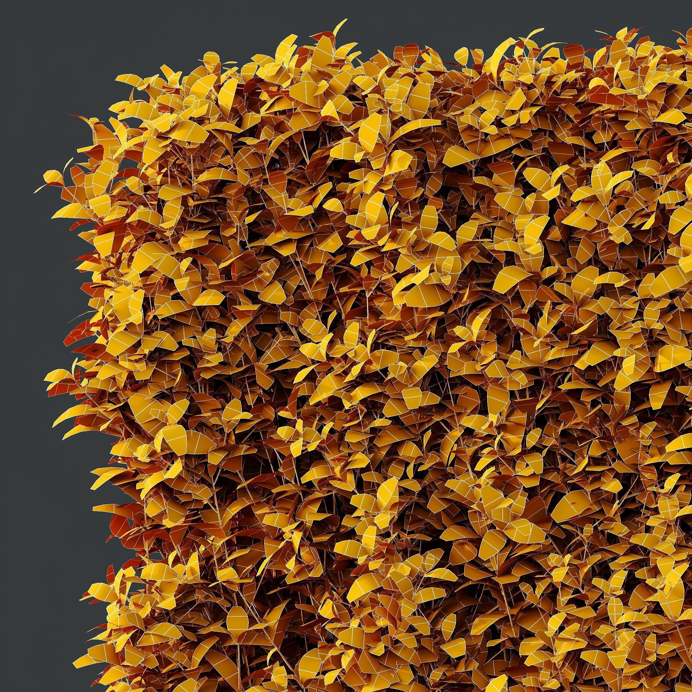 Plants Ligustrum Ovalifolium Argenteum Aureum Box Hedge 3D model_3