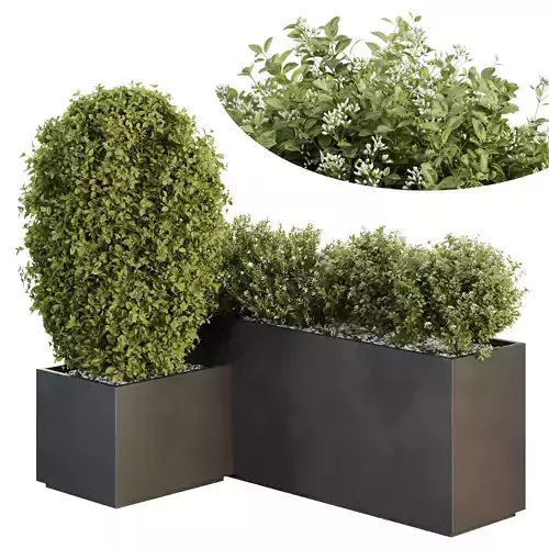 HQ Tree and bush garden box outdoor VOL 47