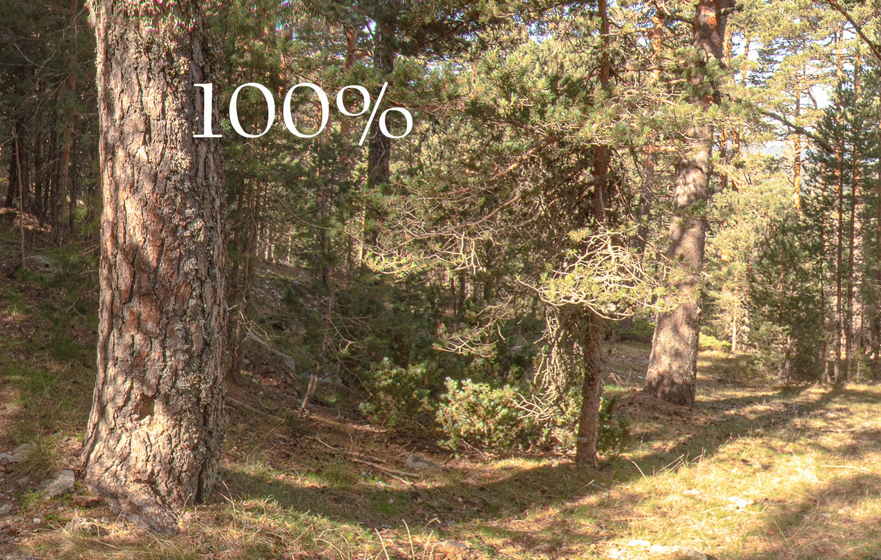 HDR 071 Low-poly 3D model_3