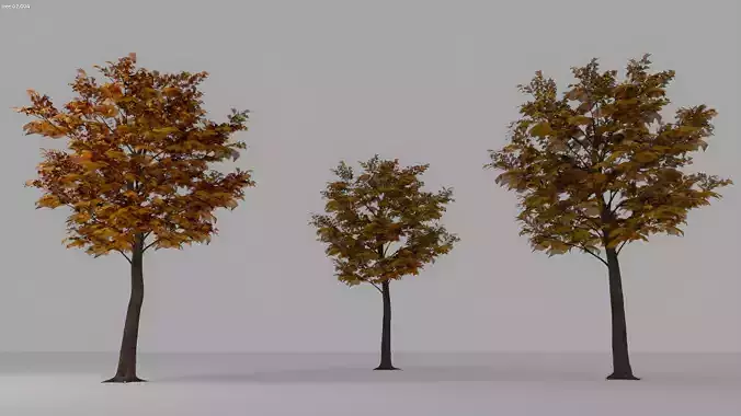 Realistic yellow tree 