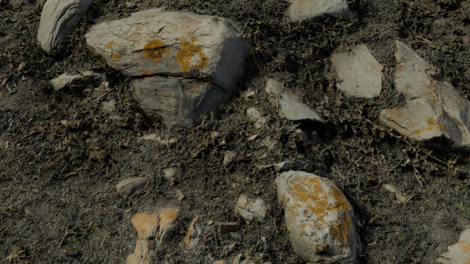 rocklapenground 3D model_8