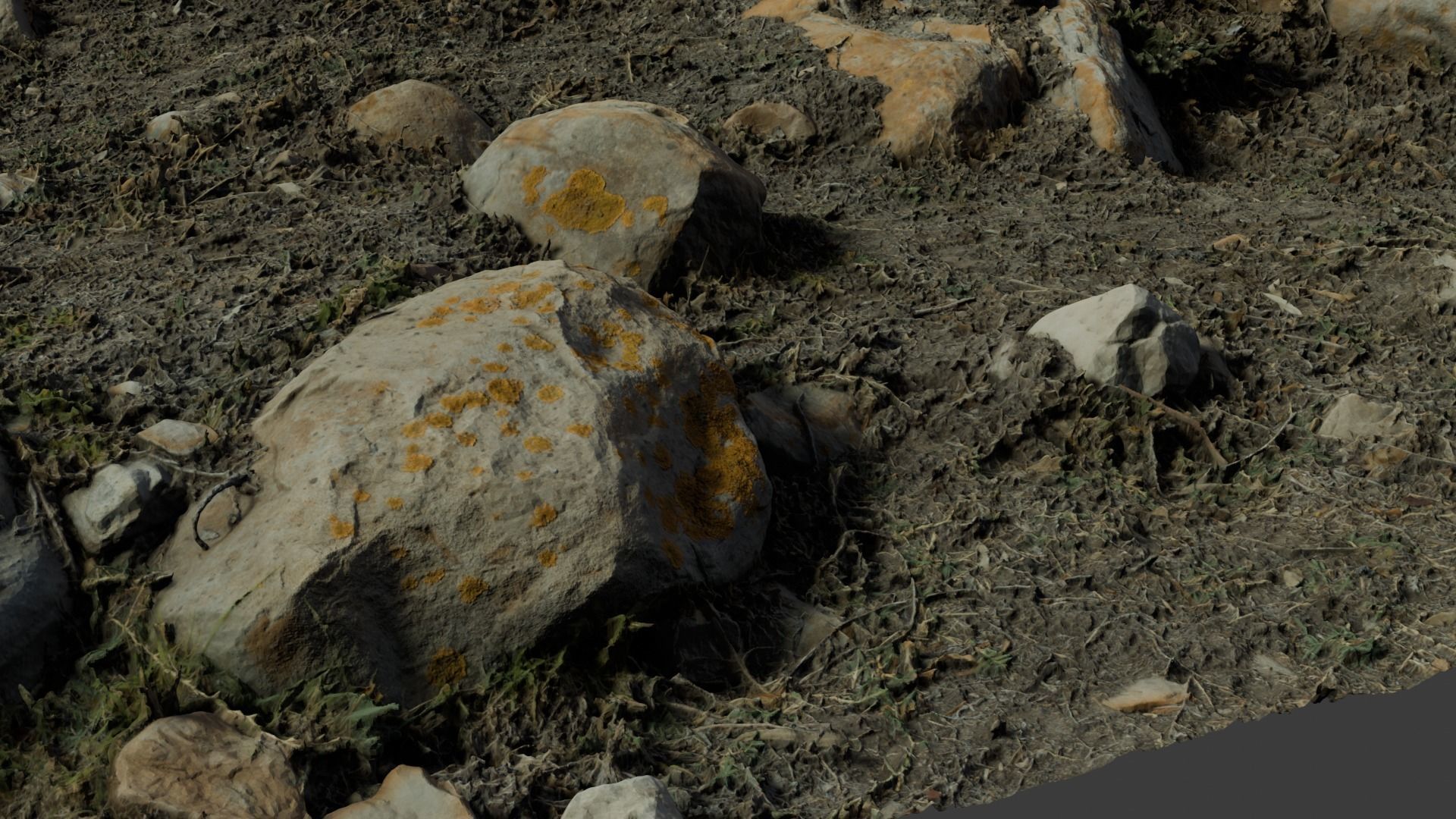 rocklapenground 3D model_5