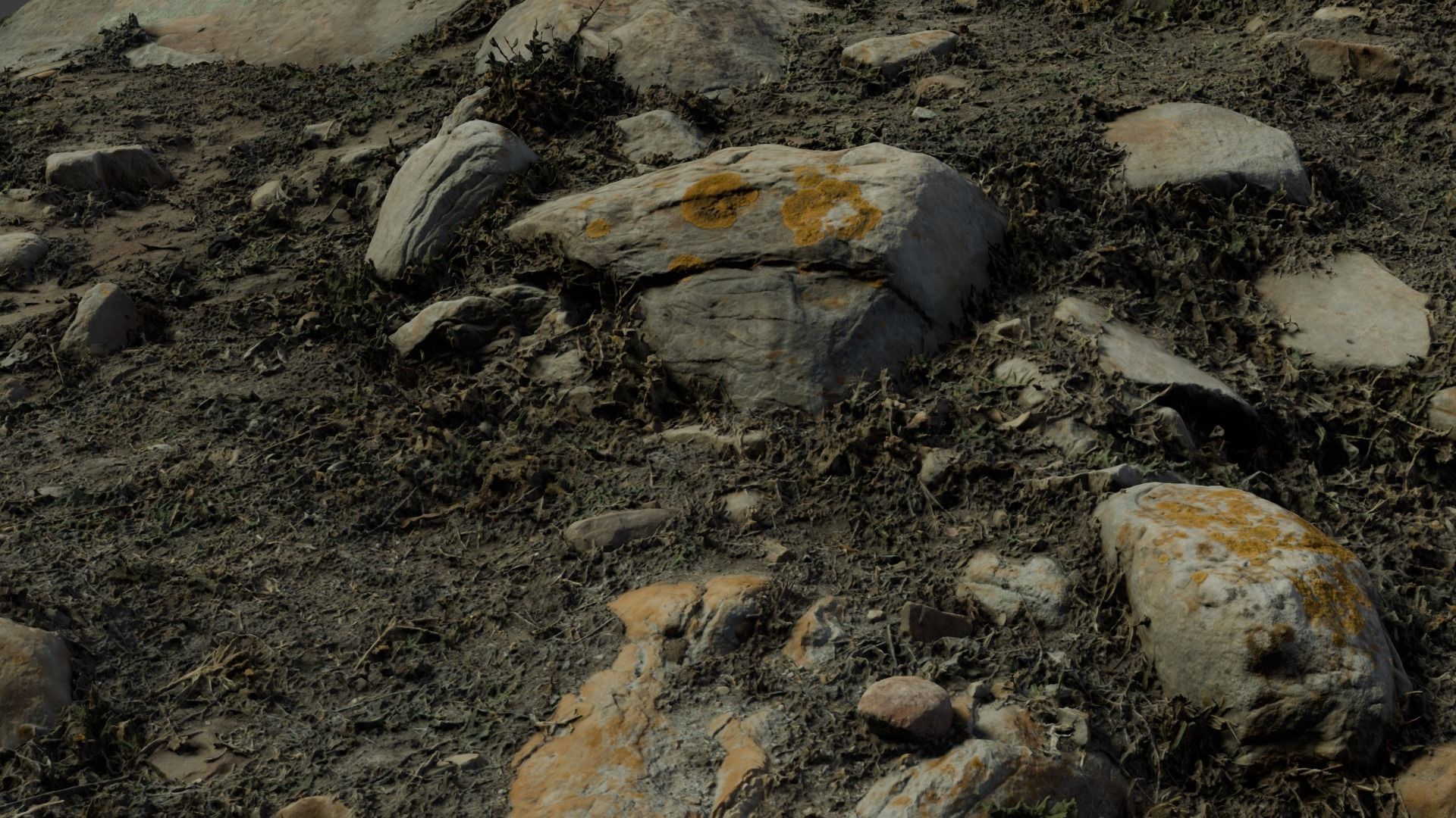 rocklapenground 3D model_2