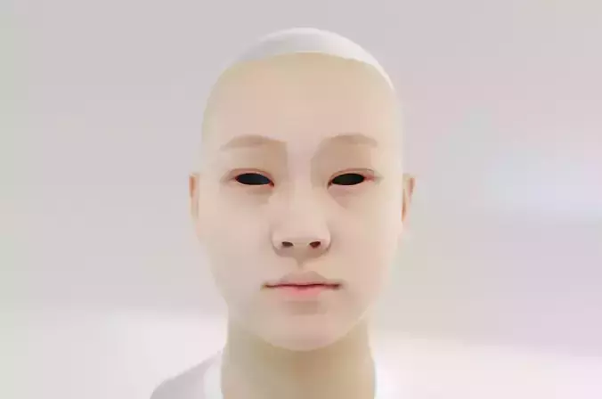 Chinese woman with oval face and crescent eyebrows  3D model