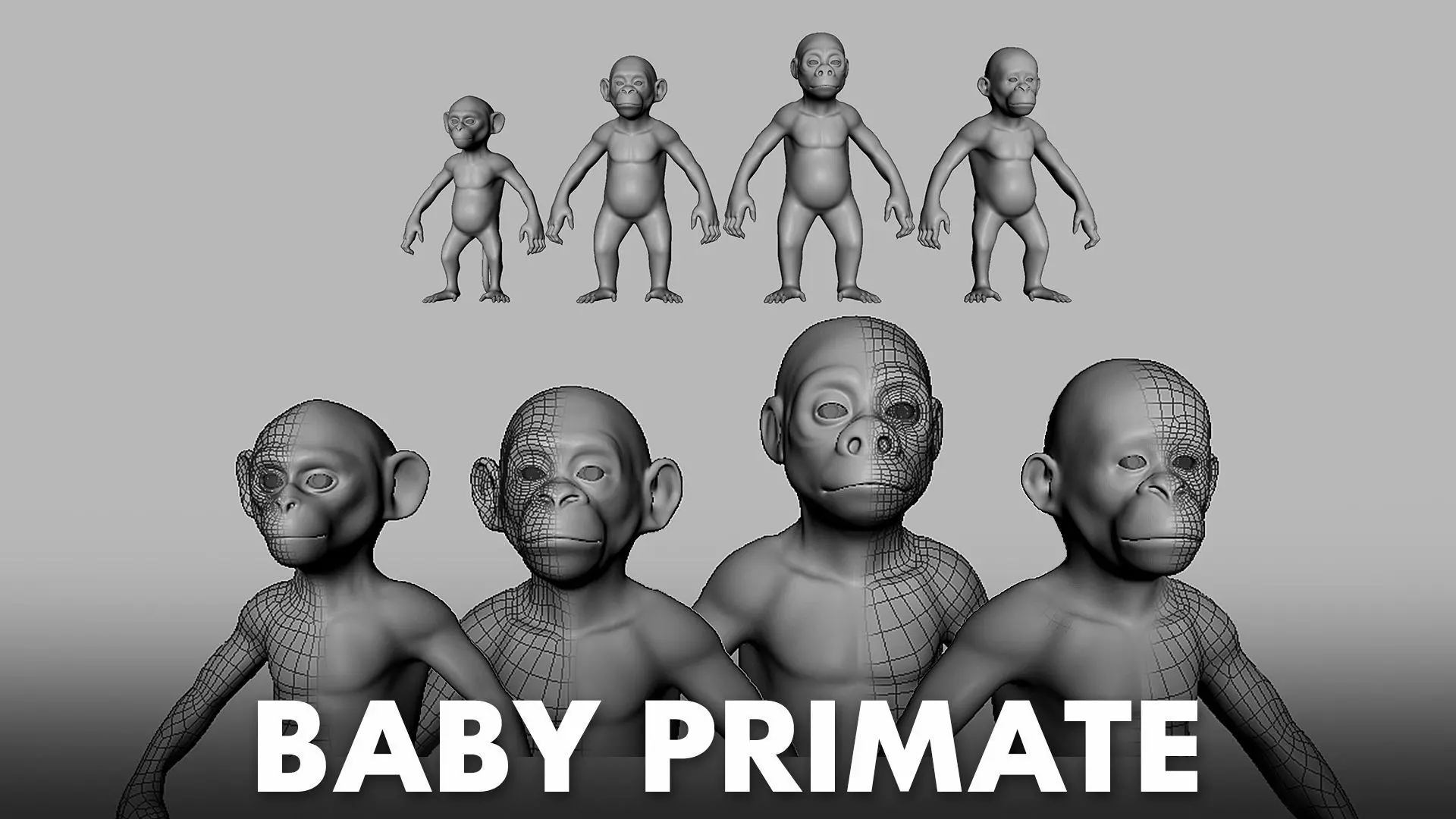 Baby Primate BaseMesh  Low-poly 3D model_0