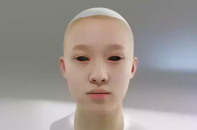 young and beautiful girl with big eyes and double eyelids 3D model