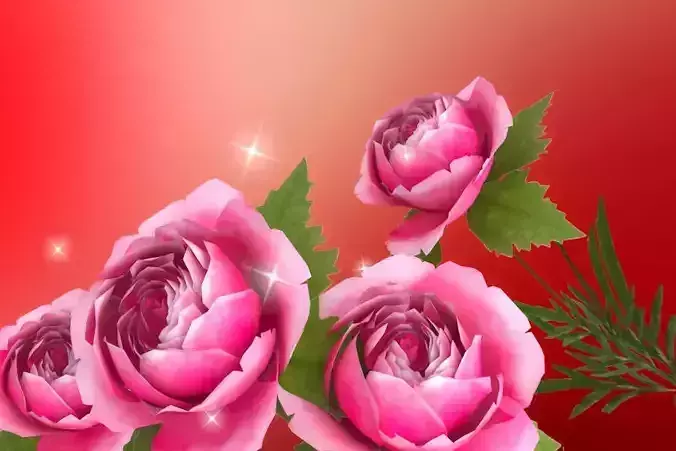 Carnations flowers plants   advertising background