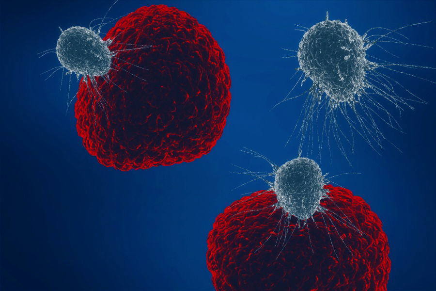 Cancer cell proliferation invasion virus 3D model_1