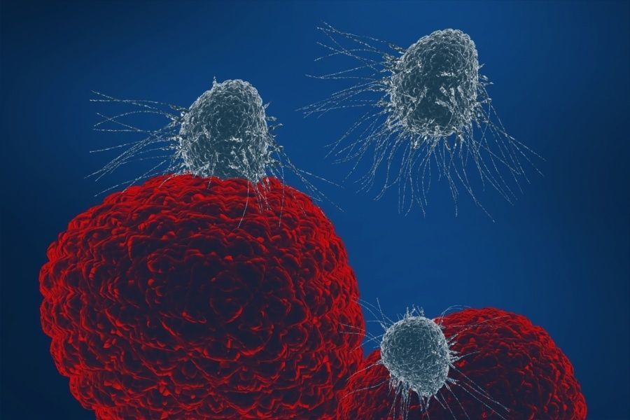 Cancer cell proliferation invasion virus 3D model_3