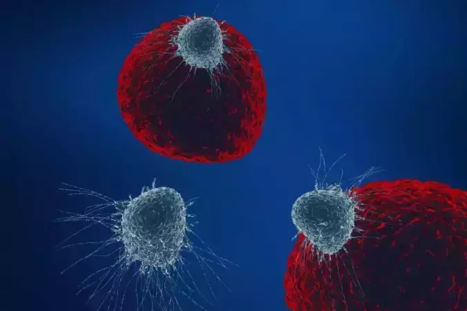 Cancer cell proliferation invasion virus