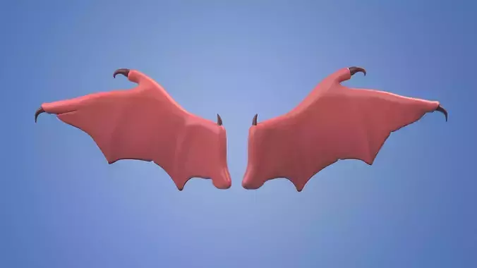 wings animal bird wing feather