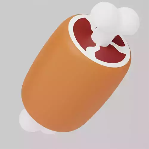 Meat - Game Asset