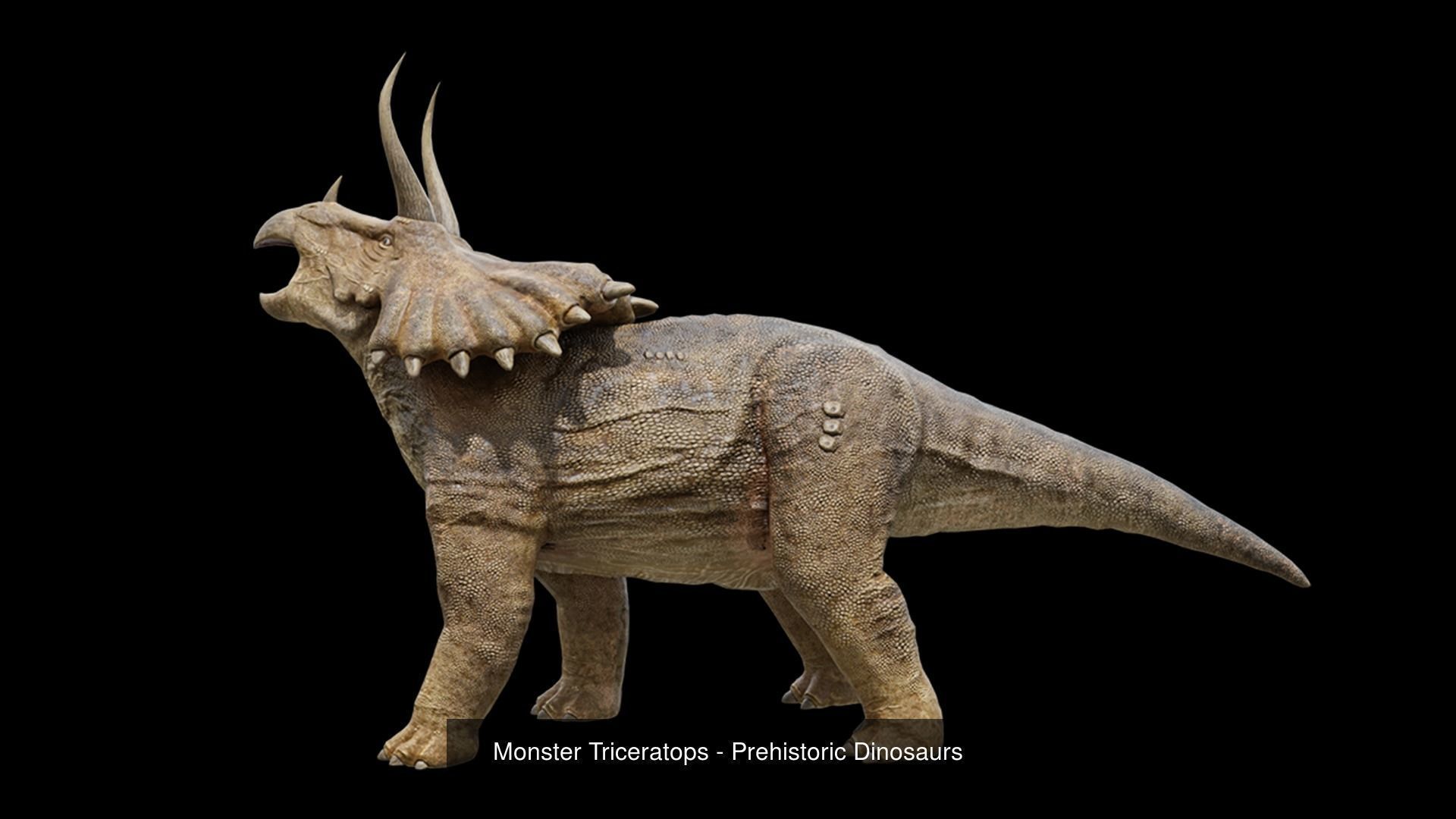 Fiction Creature 3D Model Collection_13