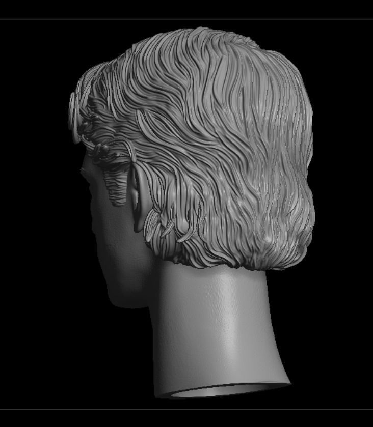 Anakin Skywalker The Clone Wars headsculpt  3D print model_9