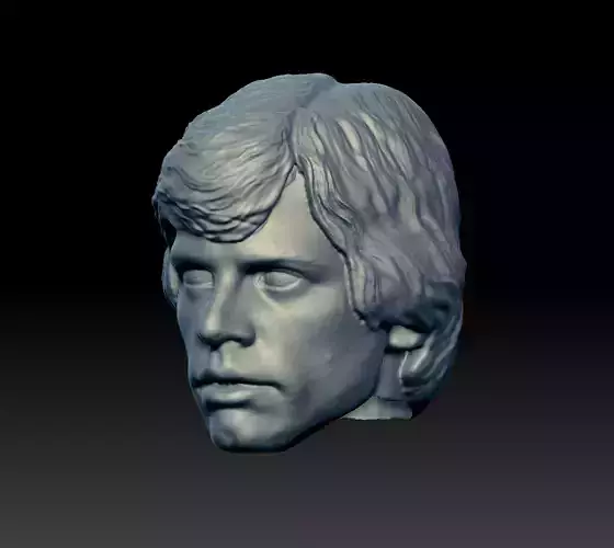 Mark Hamil head