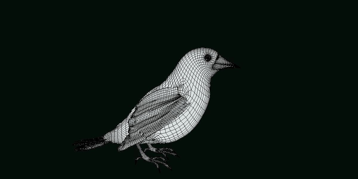 Golden Cheeked Warbler Songbird Low-poly 3D model_13