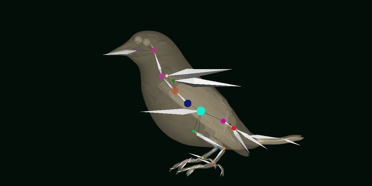 Golden Cheeked Warbler Songbird Low-poly 3D model_9