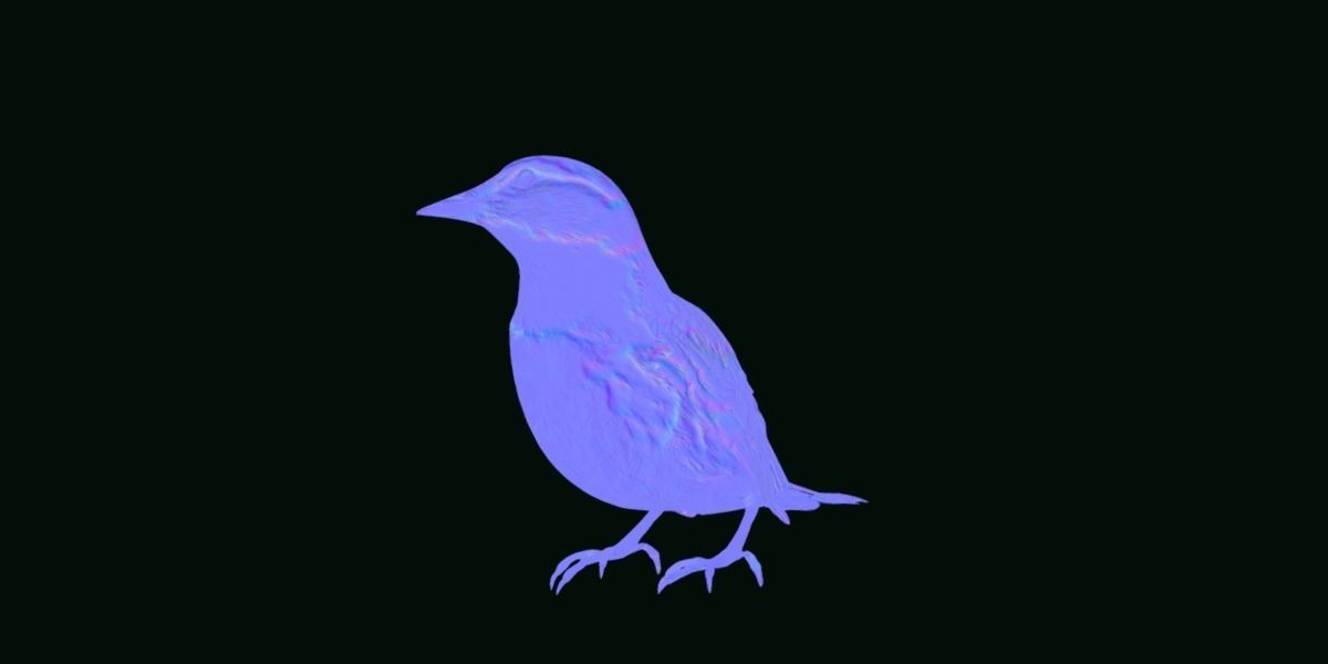 Golden Cheeked Warbler Songbird Low-poly 3D model_27