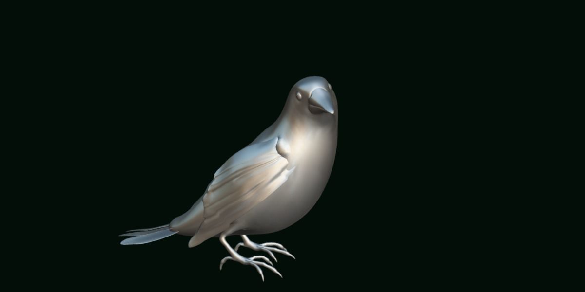 Golden Cheeked Warbler Songbird Low-poly 3D model_11