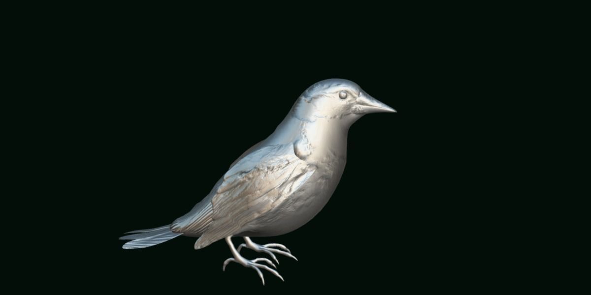 Golden Cheeked Warbler Songbird Low-poly 3D model_12