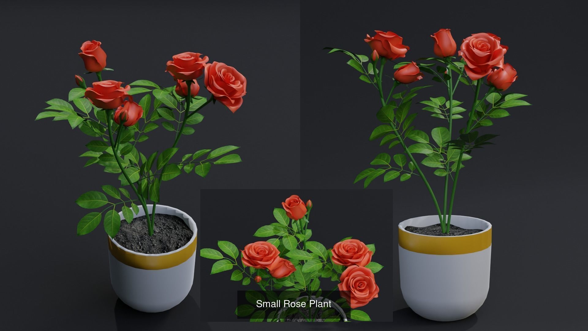 Flower Plant Collection _1