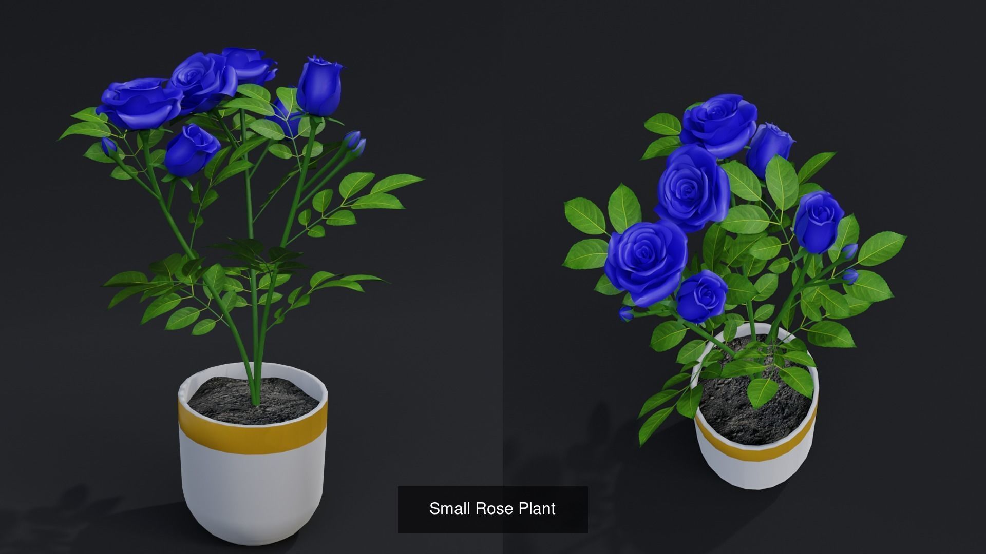 Flower Plant Collection _2