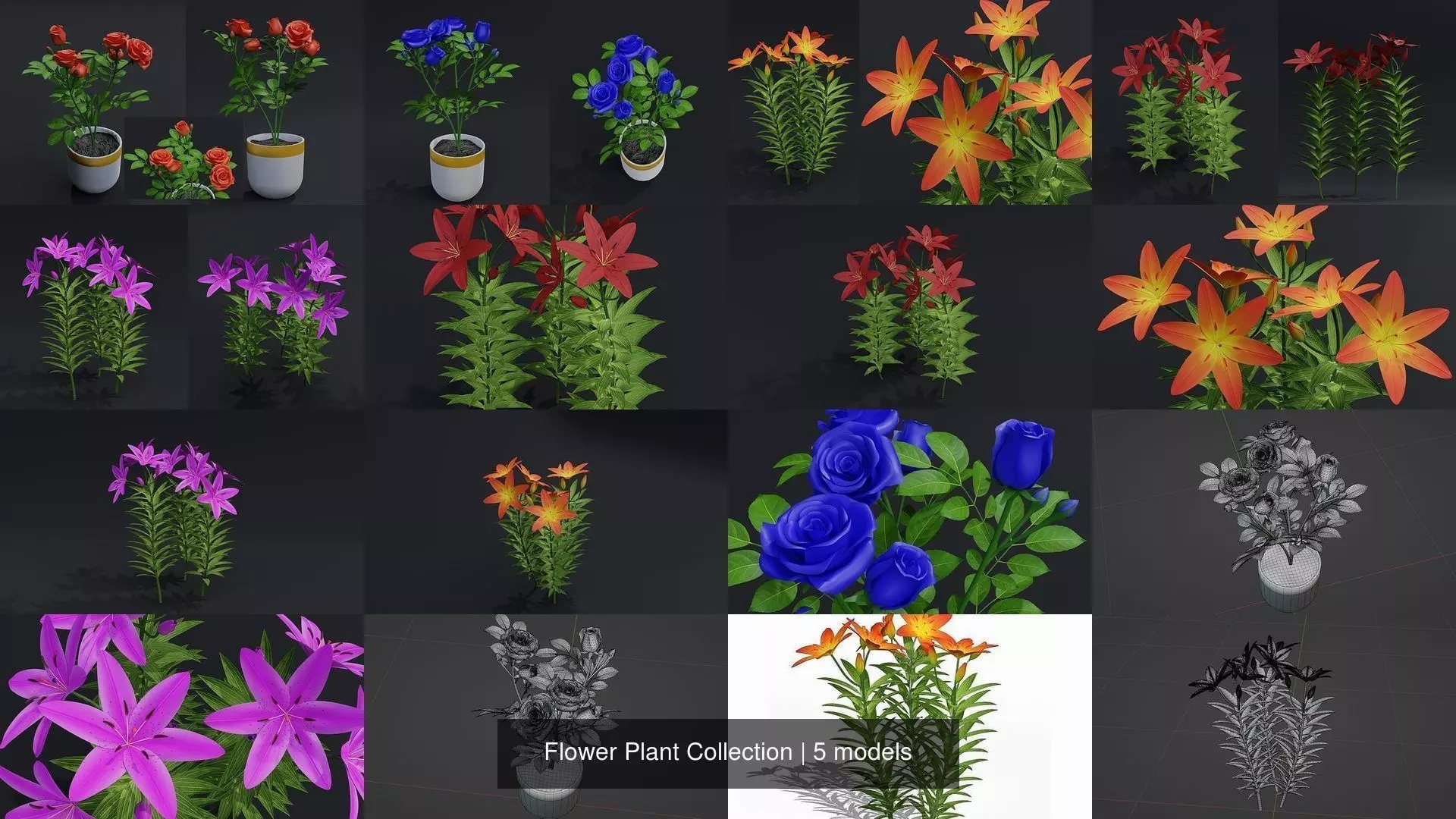 Flower Plant Collection _0