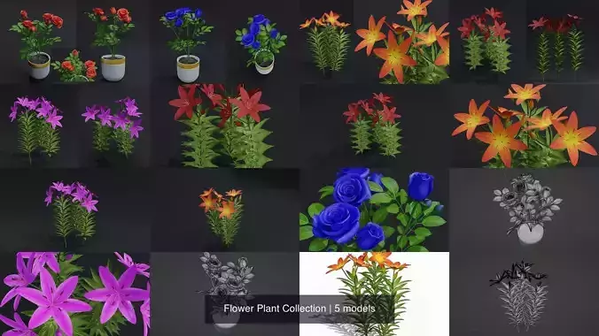 Flower Plant Collection 