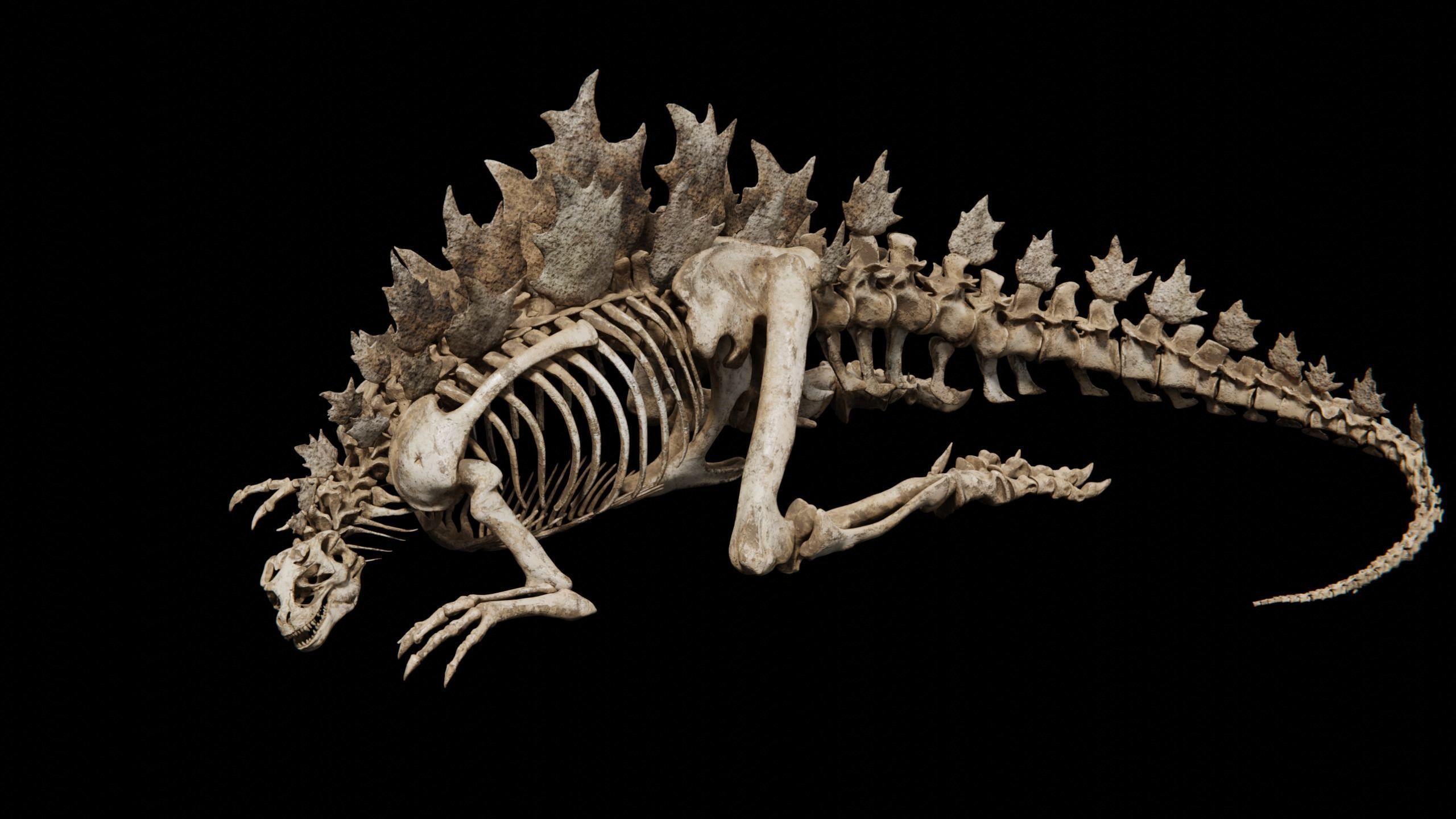 Godzilla Skeleton  Low-poly 3D model_18