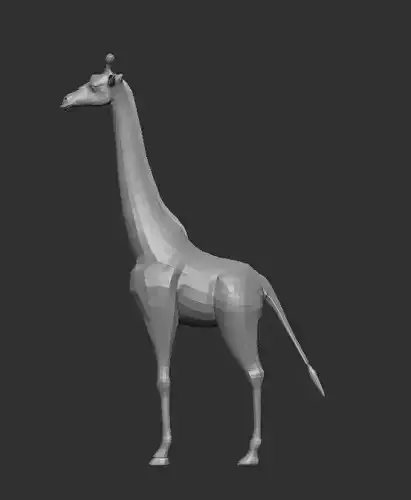 Giraffes  animals     wild animals    deer      