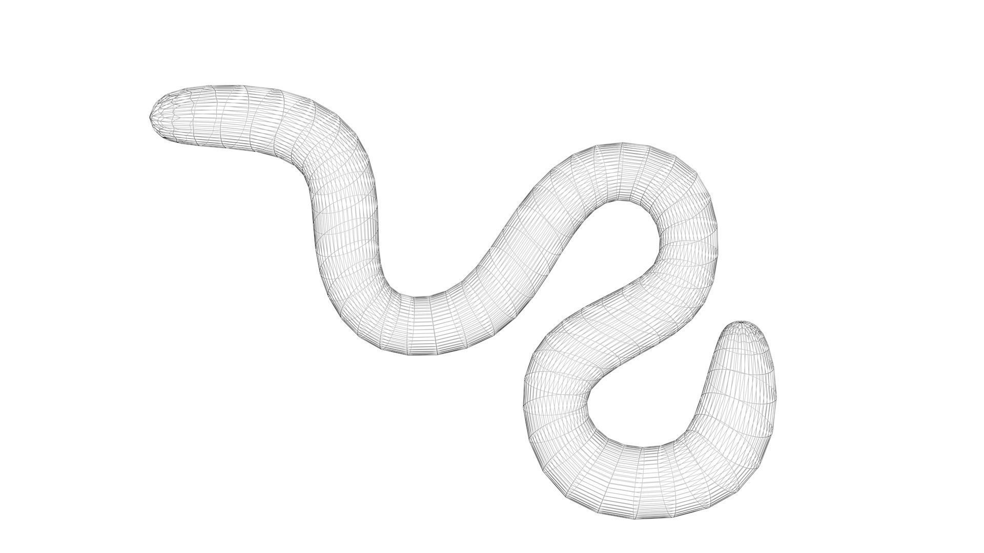 Earthworm 3D model_19
