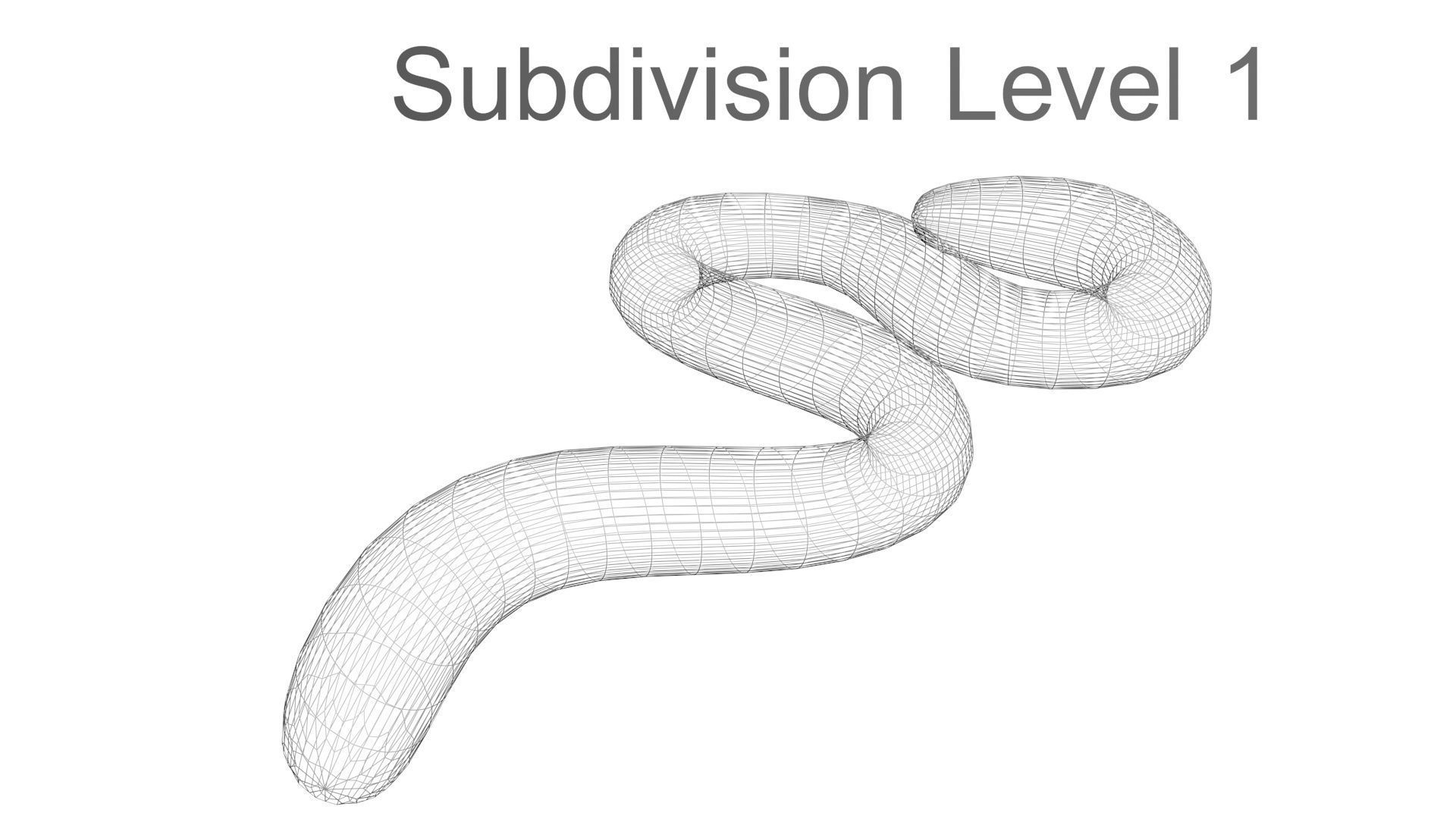 Earthworm 3D model_29