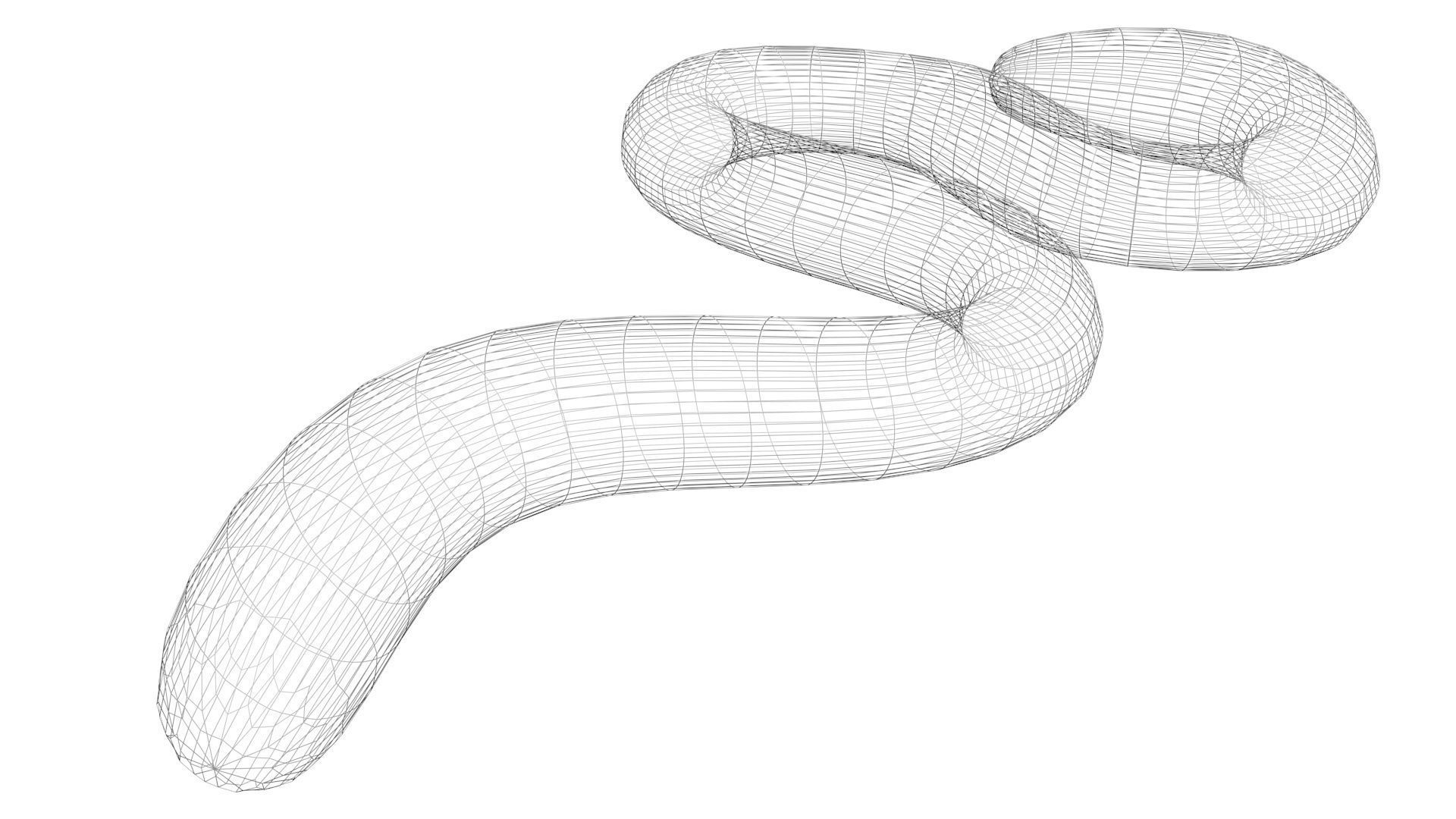 Earthworm 3D model_18