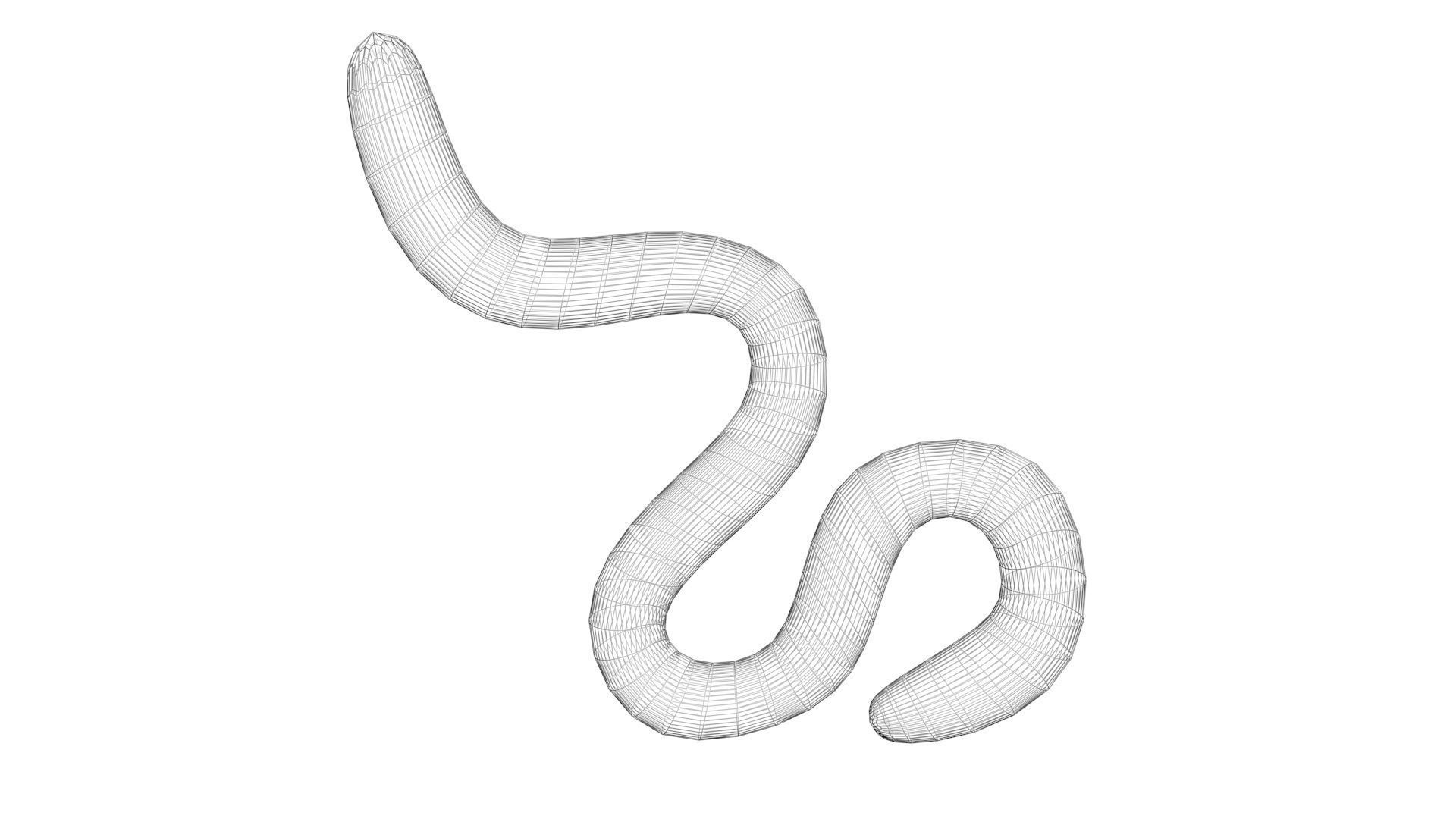 Earthworm 3D model_22