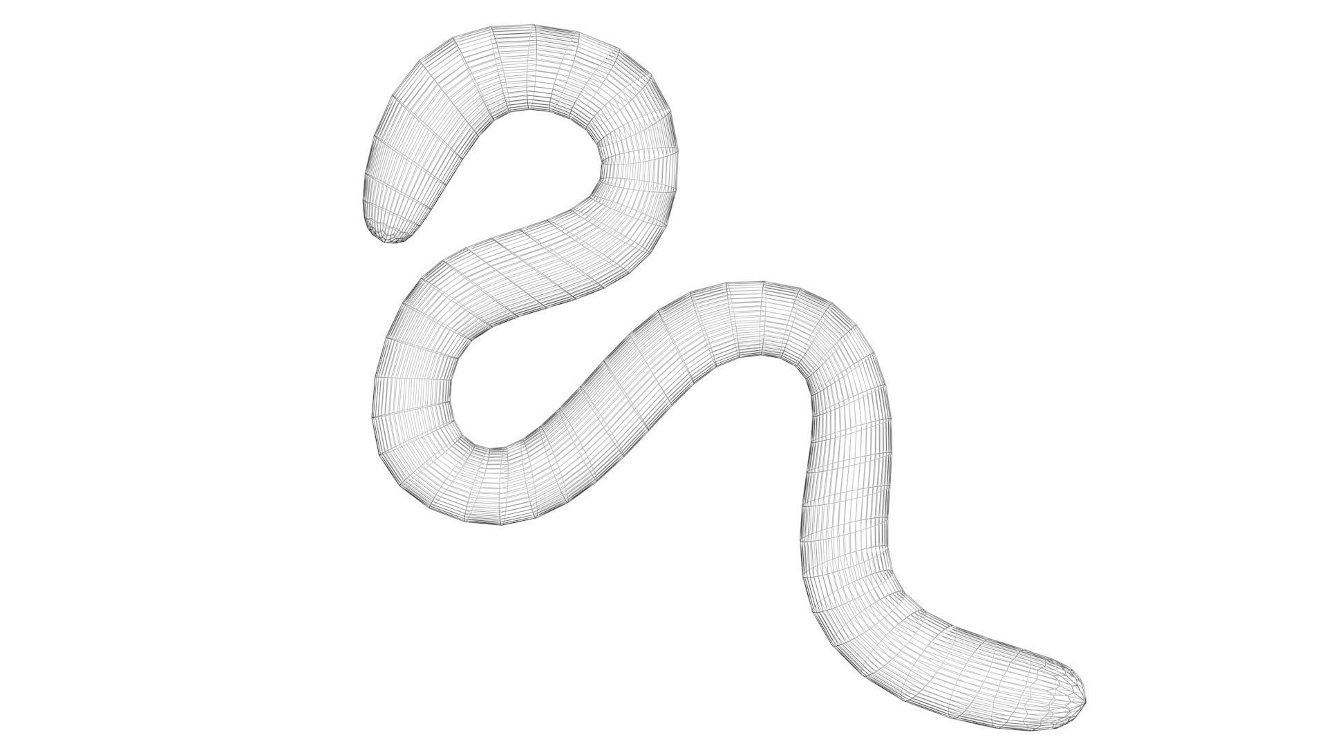 Earthworm 3D model_21