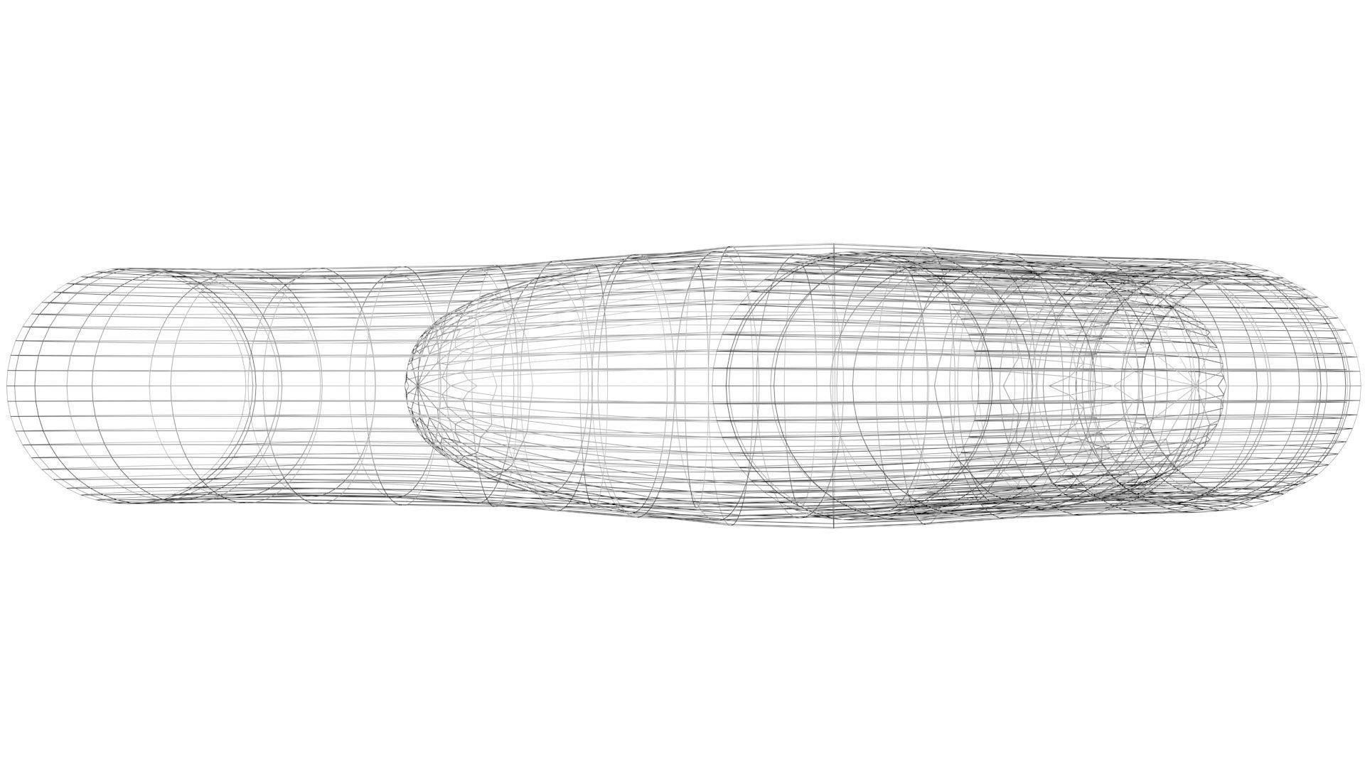 Earthworm 3D model_25