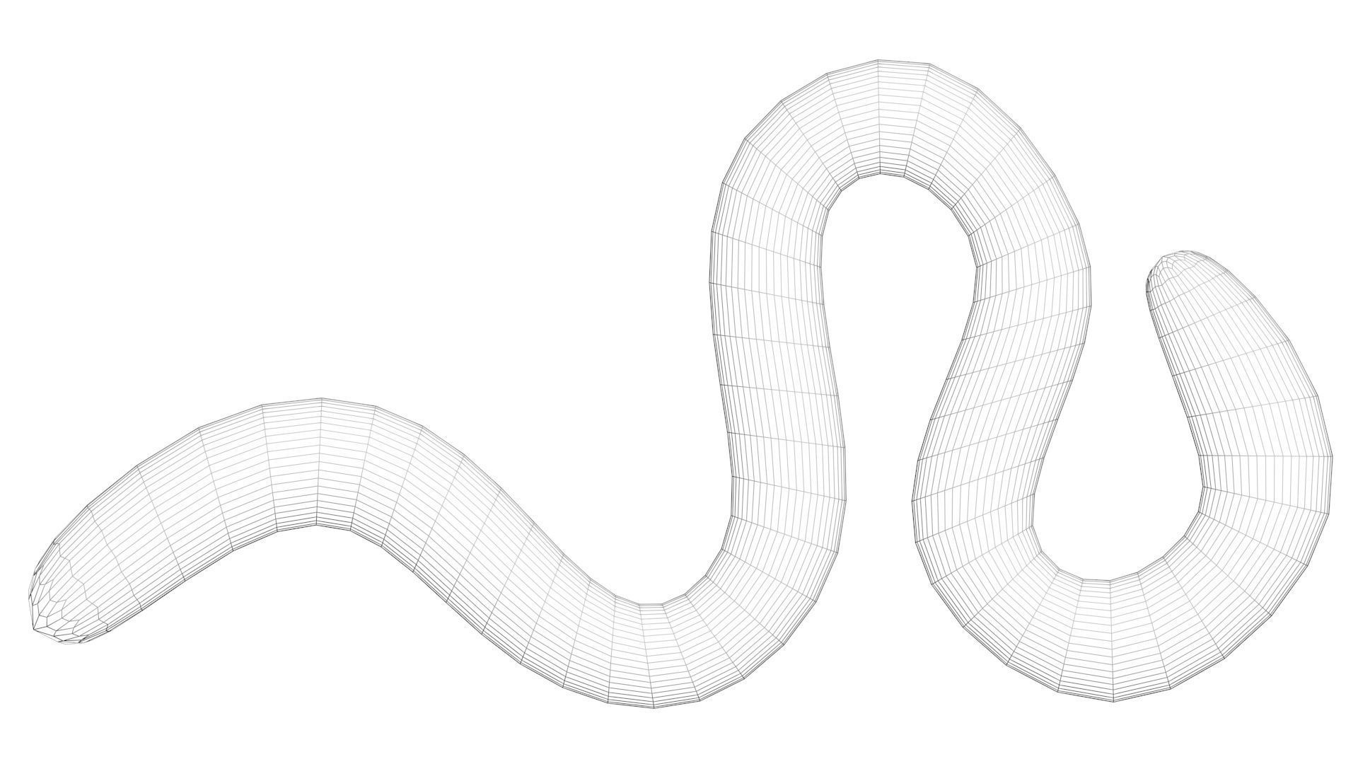 Earthworm 3D model_23
