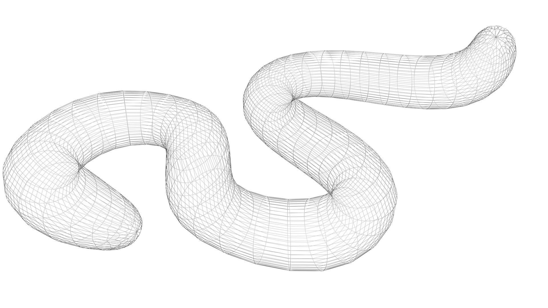 Earthworm 3D model_20