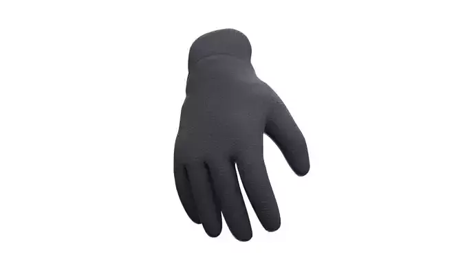  Gloves