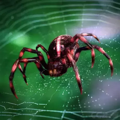 3D Modelnature animal creepy tarantula idle horror arachnid 3D model