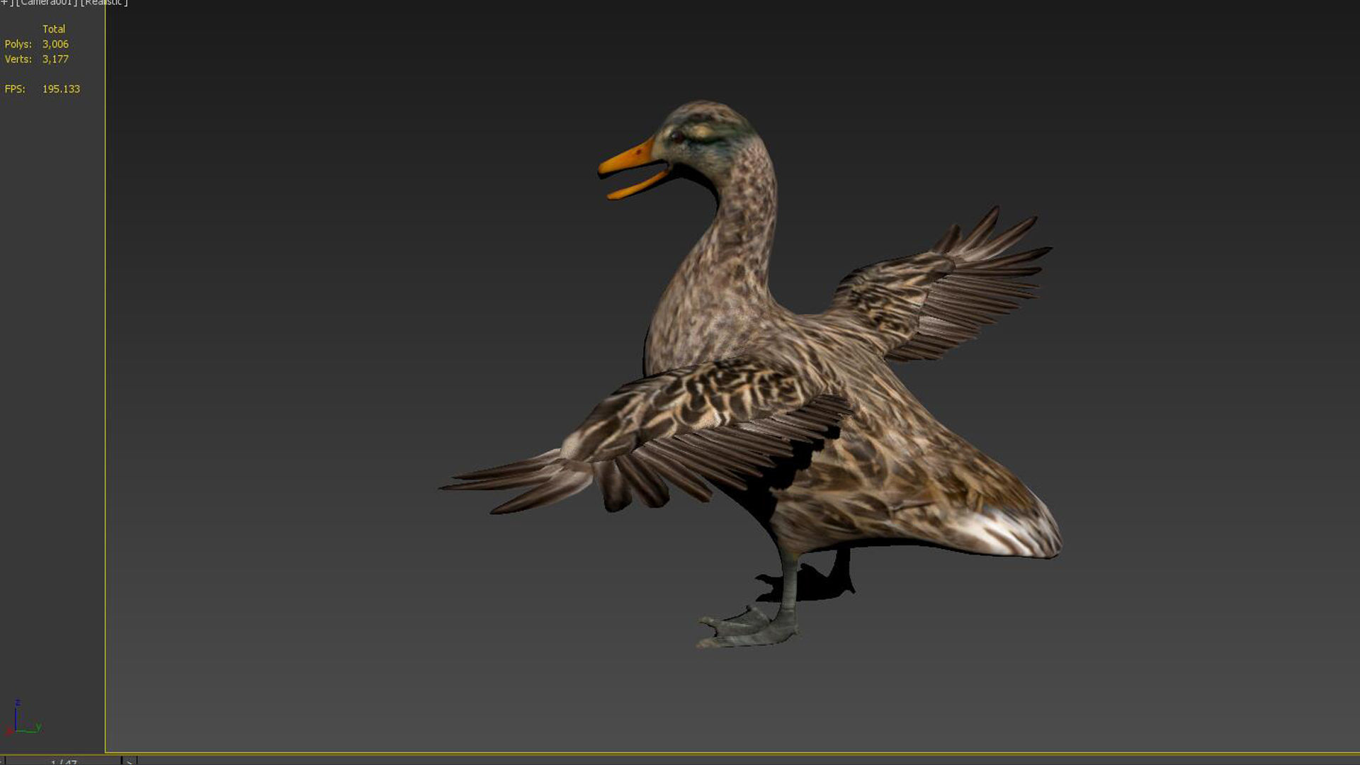 wild duck mallard dabbling anas platyrhynchos  3D model_4