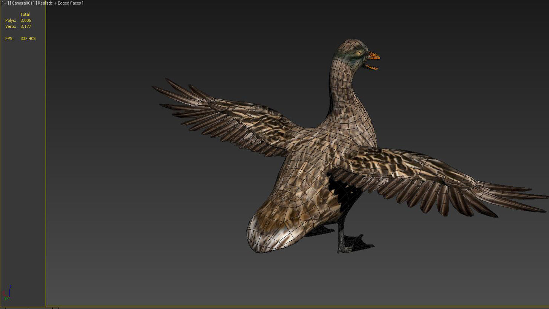 wild duck mallard dabbling anas platyrhynchos  3D model_5