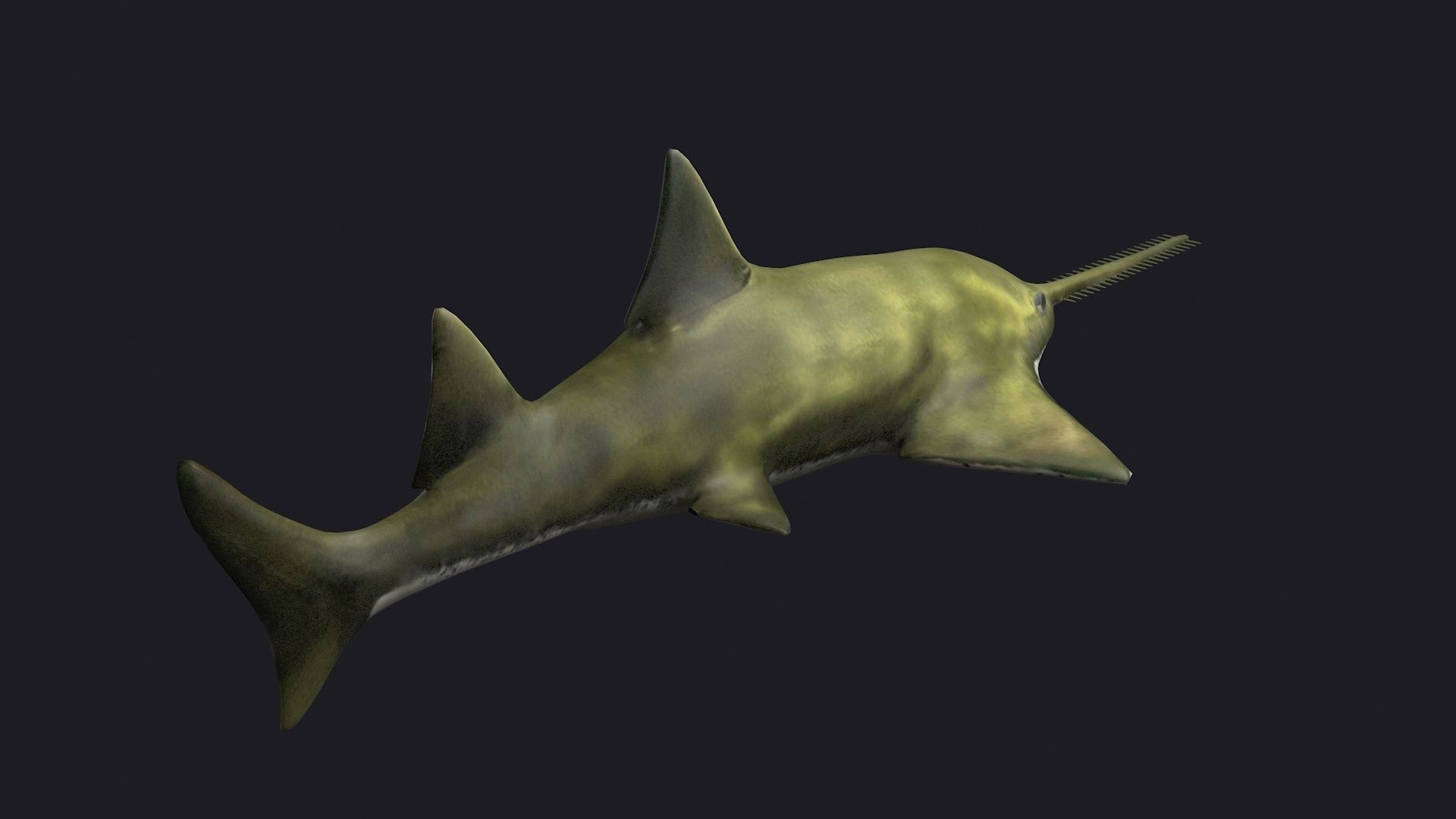 fish shark sawfish animal aquatic extinct ocean 3D model_4