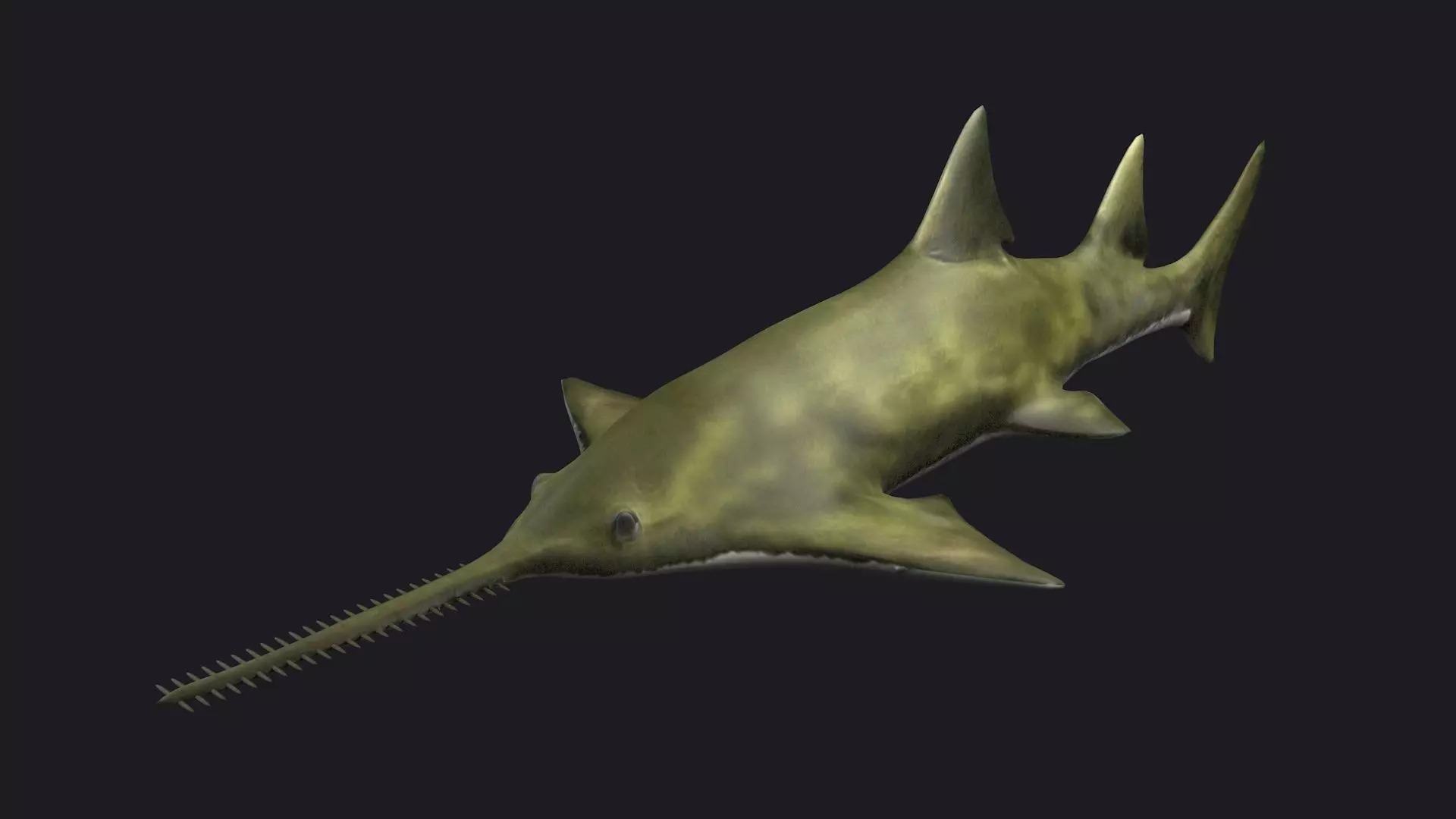 fish shark sawfish animal aquatic extinct ocean 3D model_0